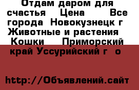 Отдам даром для счастья. › Цена ­ 1 - Все города, Новокузнецк г. Животные и растения » Кошки   . Приморский край,Уссурийский г. о. 